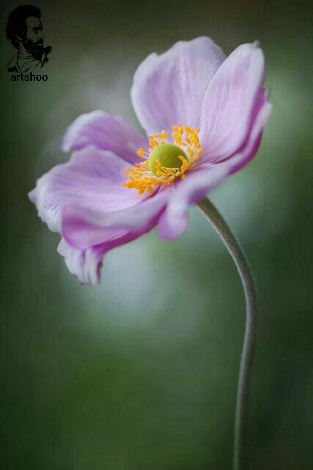 آموزش نقاشی رنگ روغن